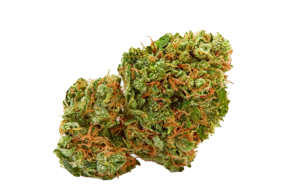 Fleur de CBD sélectionnée par CBD SBH